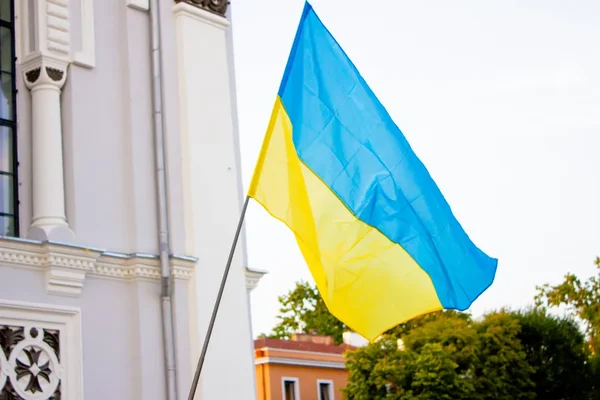 Labdaros ir paramos fondas „Susivieniję gerumui” sveikina Ukrainą su Nepriklausomybės diena. 💙💛